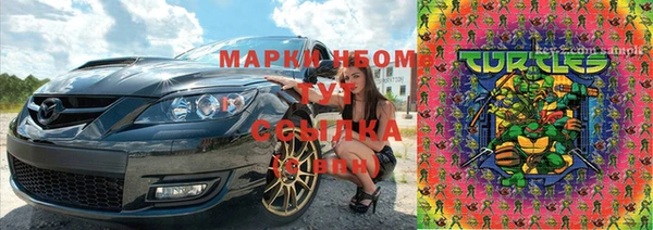 круглые Аркадак